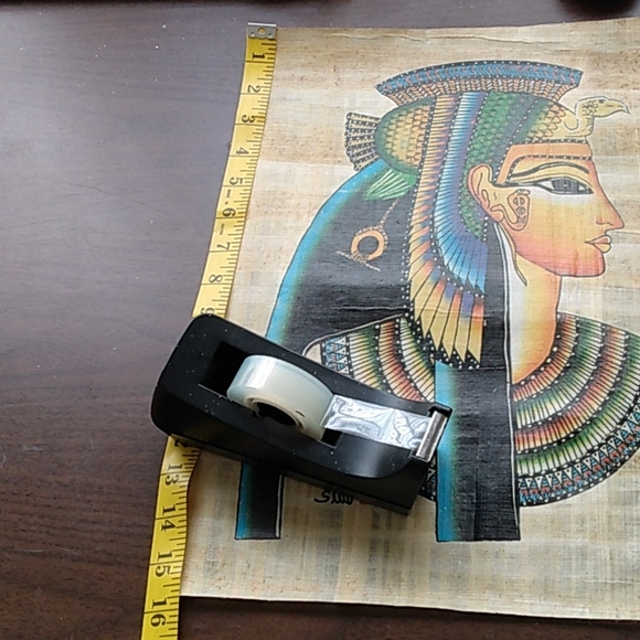 Large papayrus ! - Picture 6 of 8